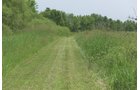 Lake County, Indiana farmland - LAND AUCTION - 147+/- ACRES OFFERED IN 3 TRACTS IN LAKE COUNTY, INDIANA